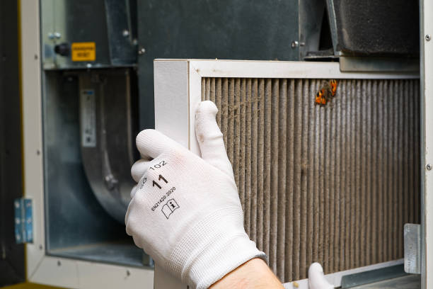Best Best Air Duct Cleaning Near Me  in Prospect Rk, PA